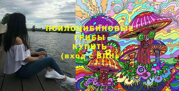 индика Тайга