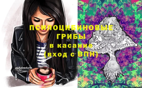 не бодяженный Тобольск