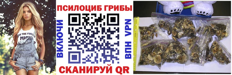 Псилоцибиновые грибы MAGIC MUSHROOMS  Купить где  Фатеж 